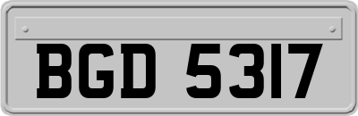 BGD5317