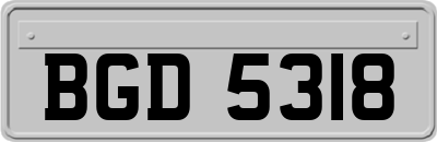 BGD5318