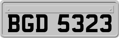 BGD5323