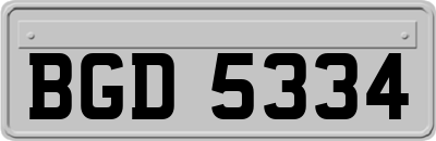 BGD5334