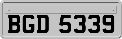 BGD5339
