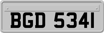 BGD5341