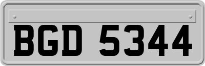 BGD5344