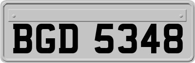 BGD5348