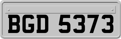 BGD5373