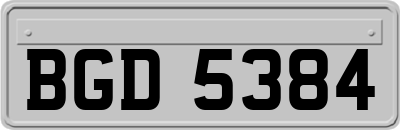 BGD5384