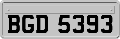 BGD5393