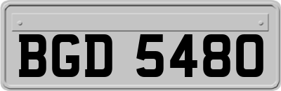 BGD5480