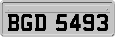 BGD5493