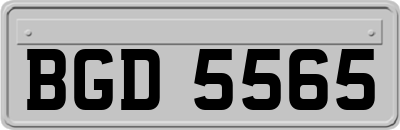 BGD5565