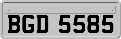 BGD5585