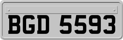 BGD5593