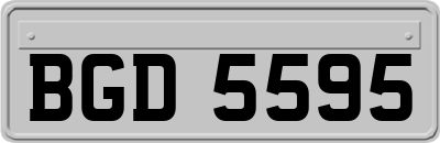 BGD5595