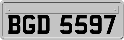 BGD5597