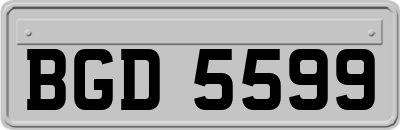 BGD5599