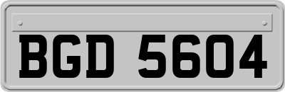 BGD5604