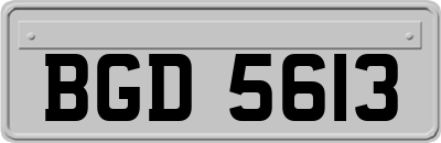 BGD5613
