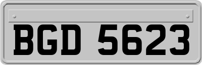 BGD5623