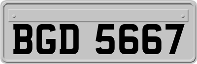BGD5667