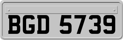 BGD5739