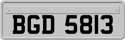 BGD5813