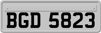 BGD5823