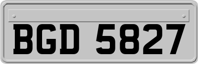 BGD5827