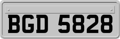 BGD5828