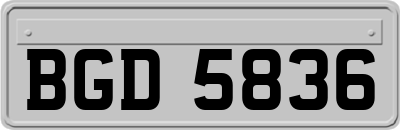 BGD5836
