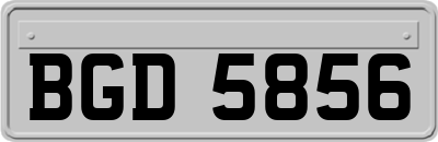 BGD5856