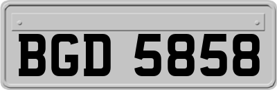 BGD5858