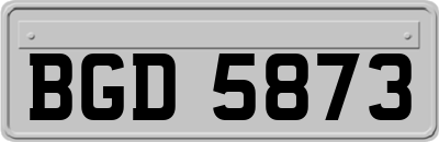 BGD5873