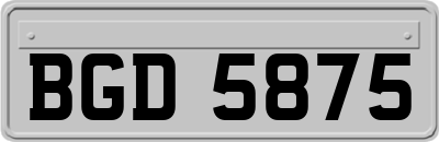 BGD5875