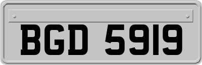 BGD5919