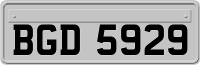 BGD5929