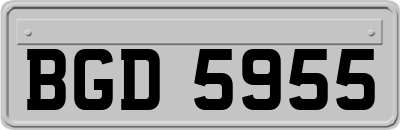 BGD5955