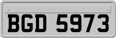 BGD5973