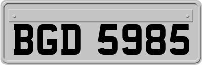 BGD5985