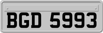BGD5993