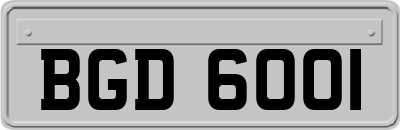 BGD6001