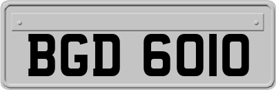 BGD6010