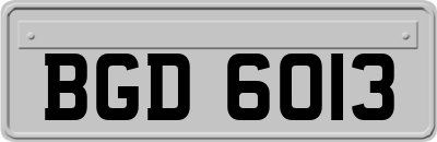 BGD6013