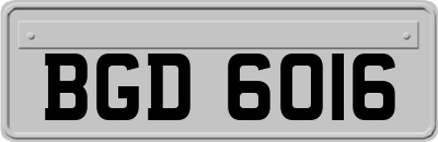 BGD6016