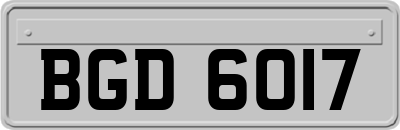 BGD6017
