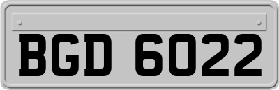 BGD6022