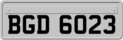 BGD6023