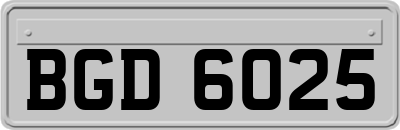 BGD6025
