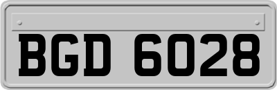 BGD6028