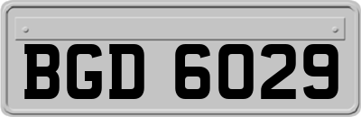 BGD6029