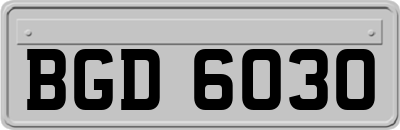 BGD6030
